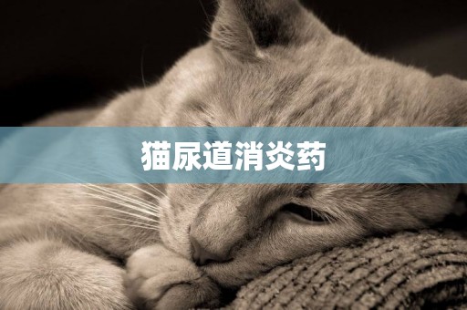 猫尿道消炎药